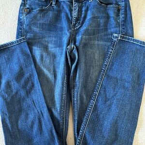 Madewell Indigo Skinny Jeans